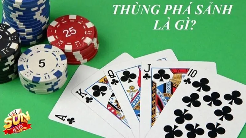 Thùng phá sảnh là gì? Thông tin toàn diện chia sẻ cho tân thủ Thùng phá sảnh là gì? Thông tin toàn diện chia sẻ cho tân thủ